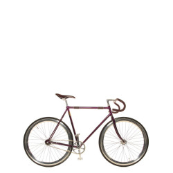 Bicycle “Anquetil” Amar Cycles purple